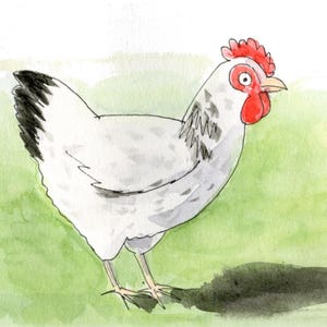 白い雌鳥のグリーティング カード、鳥愛好家のための水彩画のファイン アート カード、内側は空白で独自のメッセージを書き込めます