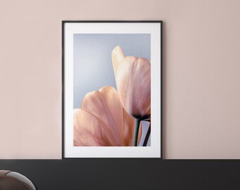 Floral ombre I Poster