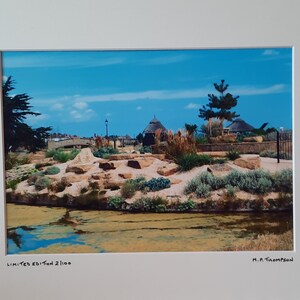 Water Gardens, Norfolk Print, Norfolk Landscape, Great Yarmouth, Signed Limited Edition A4 Color Photograph in 40 cm x 30 cm Mount.