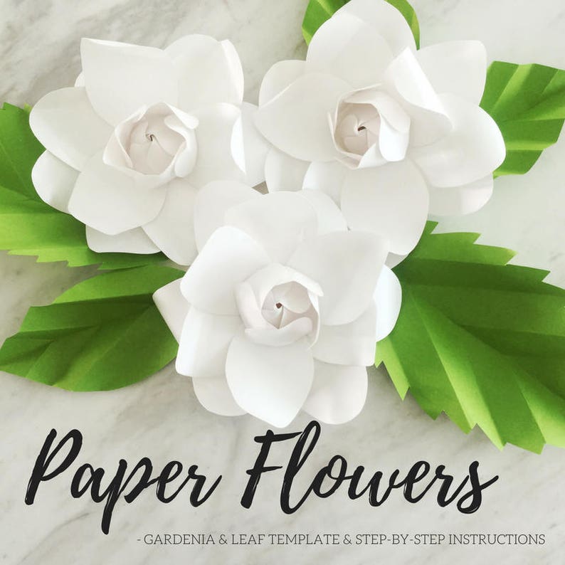Paper Gardenia Template Paper Flower Template Paper Flower Backdrop