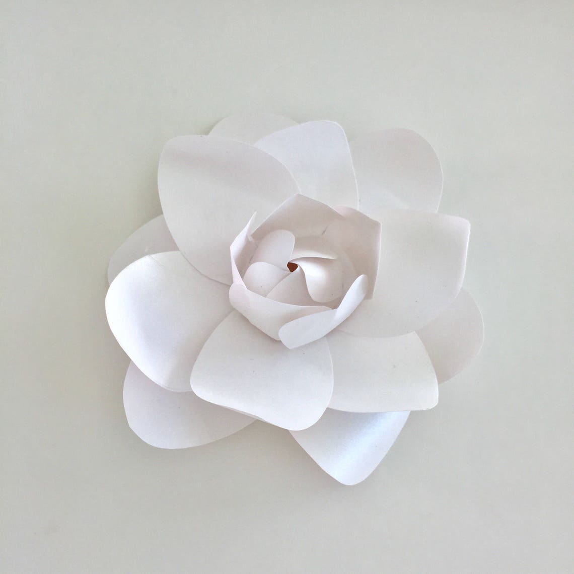 Paper Gardenia Template Paper Flower Template Paper Flower Etsy