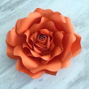 Paper flower template flower template paper flower backdrop flower backdrop giant paper flower large paper flowers paper rose image 5