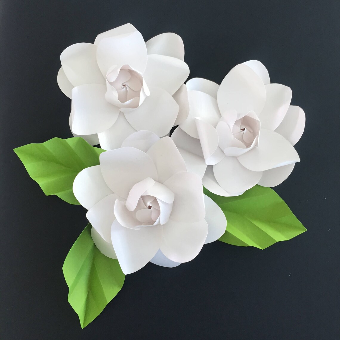 Paper Gardenia Template Paper Flower Template Paper Flower Etsy