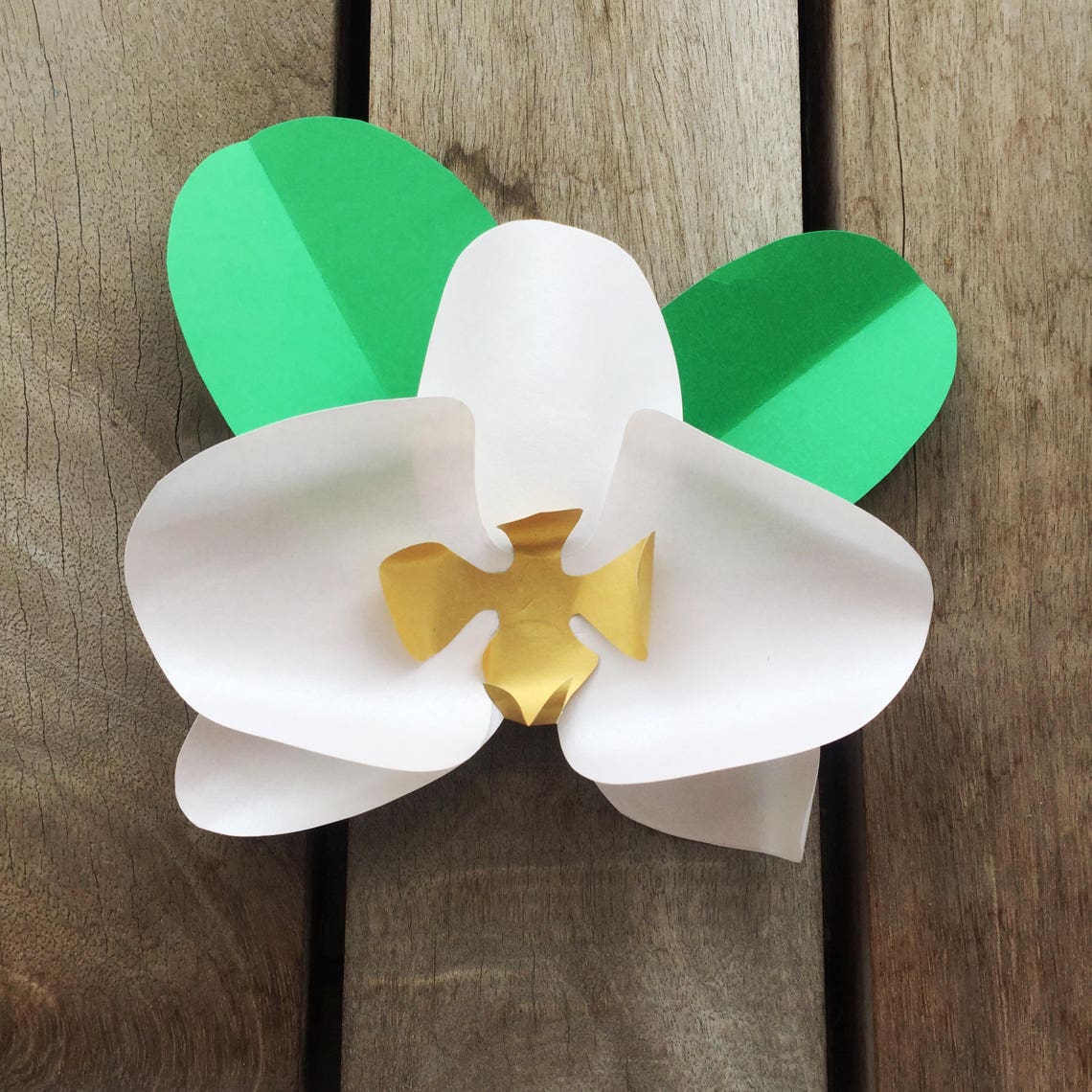 Paper Orchid Template Paper Orchid Template