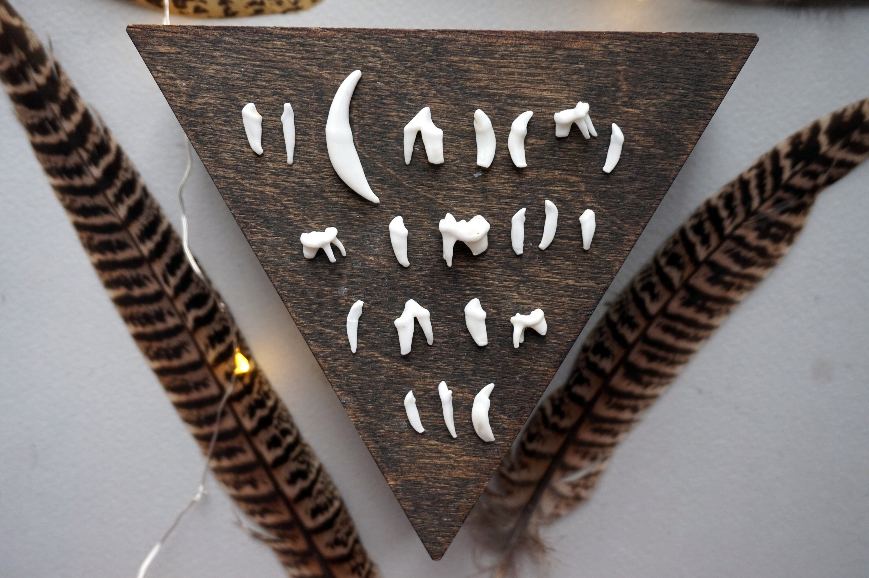 Fox teeth foxes Fang Etsy