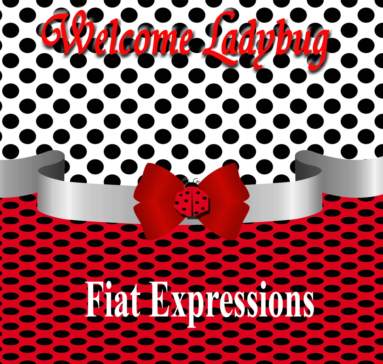 Ladybug Baby Shower Centerpiece Etsy