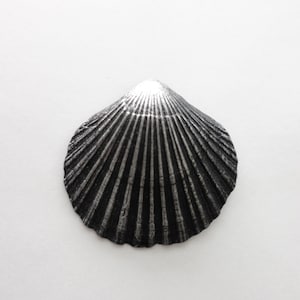 Pendant Camino de Santiago  Shell, Pewter , Gomolka Art Studio  Line