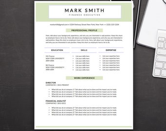 Executive Resume Template - Microsoft Word Doc *INSTANT DOWNLOAD*