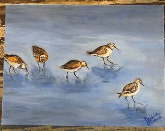 Sandpipers Feeding