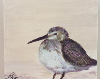 Sandpiper on the beach  hand painted in acrylic