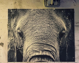 Elephant Photo Screen Printed by hand