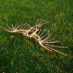 May include: A wooden model of a bird with outstretched wings. The model is made of thin strips of wood and has a delicate, intricate design.