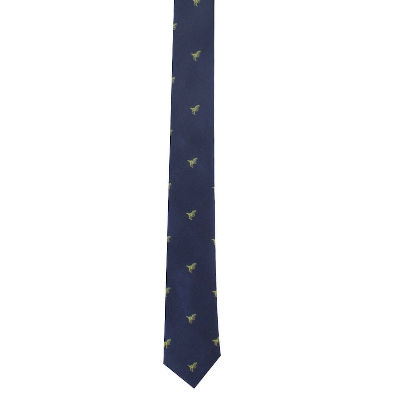 mens dinosaur tie