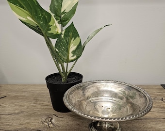 Sterling Silver Bowl from Garden Silversmiths