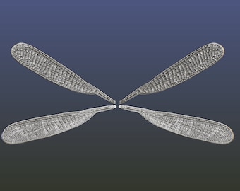 Dragonfly wings . STL Files for 3D Printing. Digital download. Supported