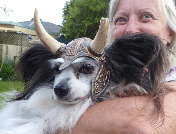 Viking Dog Helmet STL File Dog Armor 3D Print Pet Cosplay Costume Norse Helmet (Digital Download)