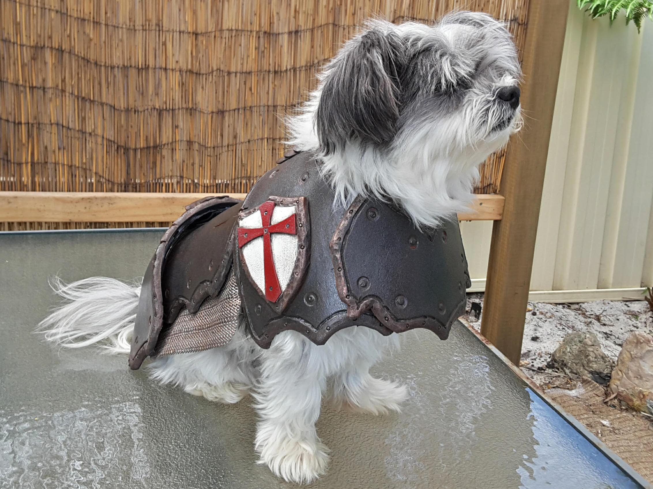 Cosplay DIY Prop Basic Dog Armor / Armour Costume Pattern Etsy