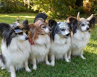 Paquete de 4 cascos para perros (STL) Colección de cascos vikingos, espartanos y medievales Pickelhaube para mascotas (Descarga digital)