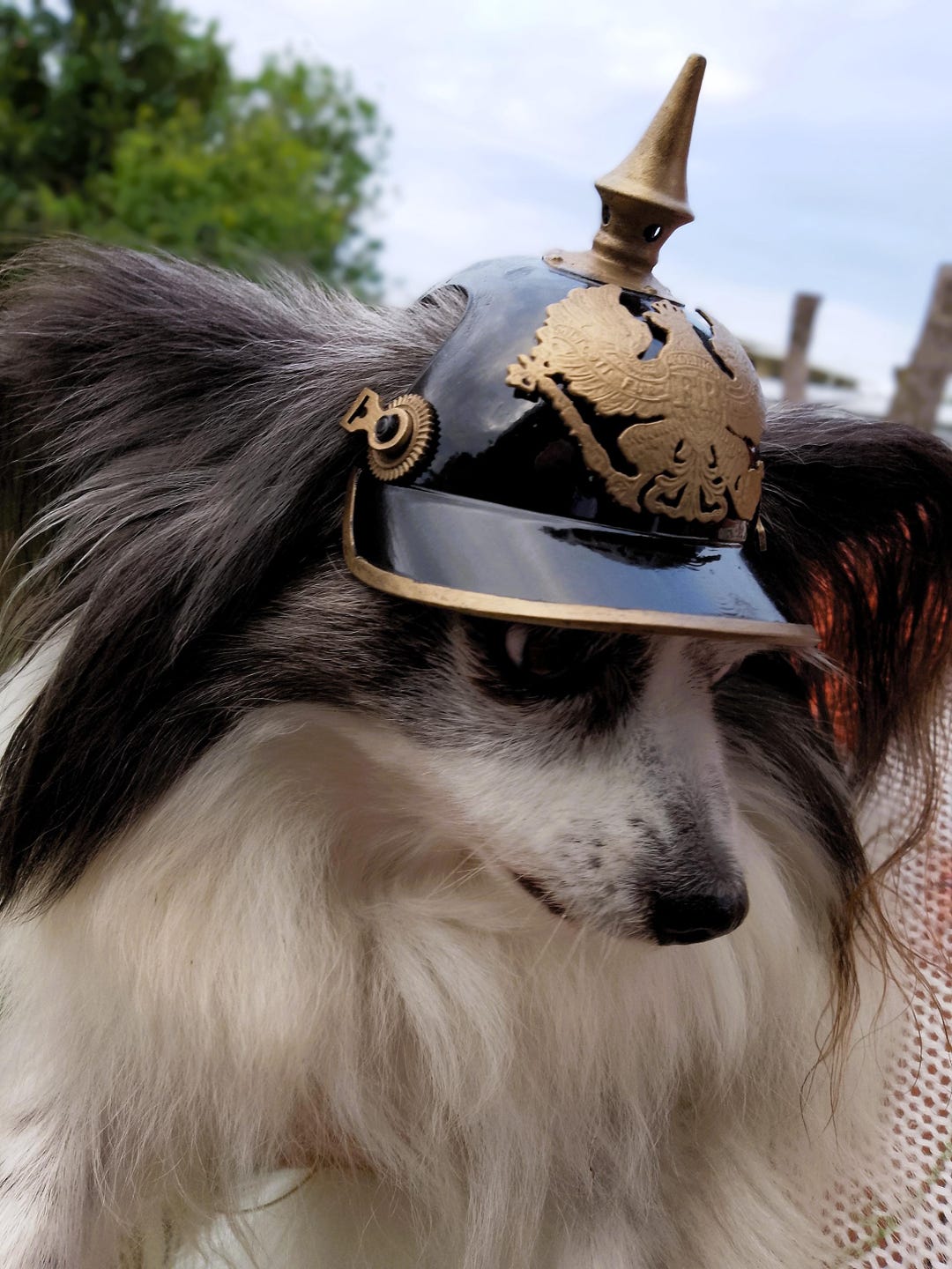 Pickelhaube Dog Helmet STL: 3D Print German Spiked Armor
