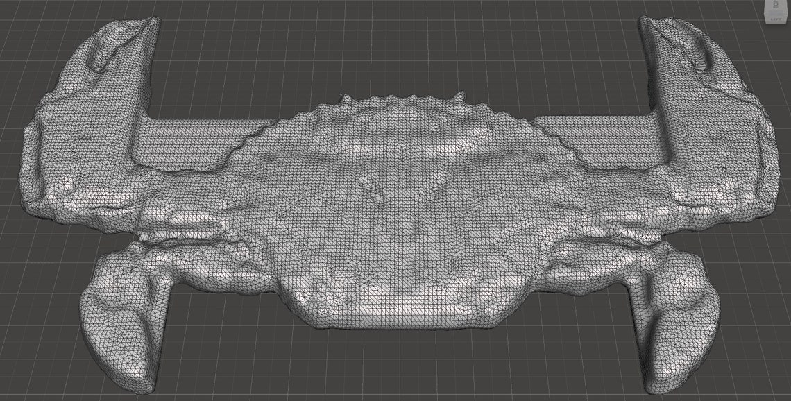 Crab Measure .stl Files for 3D Printing. Digital Download. Etsy