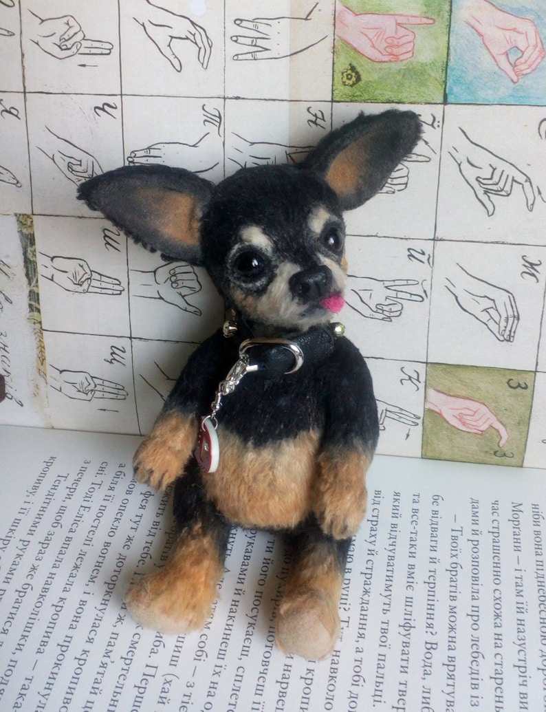 Mini Teddy chihuahua 6 in Favorite pet to order on the photo Best gift for dog lovers image 8