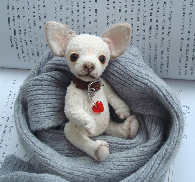 Mini Teddy chihuahua 6 in Favorite pet to order on the photo Best gift for dog lovers image 3