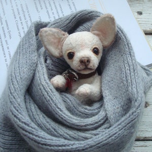 Mini Teddy chihuahua 6 in Favorite pet to order on the photo Best gift for dog lovers image 2