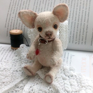 Mini Teddy chihuahua 6 in Favorite pet to order on the photo Best gift for dog lovers image 6