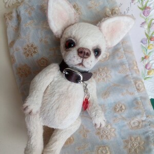 Mini Teddy chihuahua 6 in Favorite pet to order on the photo Best gift for dog lovers image 4