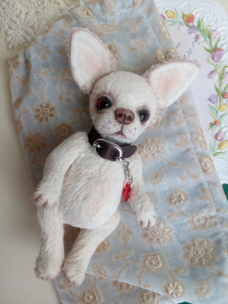 Mini Teddy chihuahua 6 in Favorite pet to order on the photo Best gift for dog lovers image 4