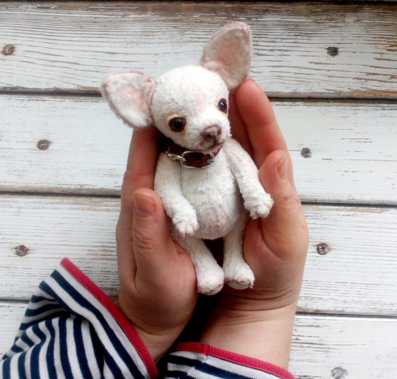 Mini Teddy chihuahua 6 in Favorite pet to order on the photo Best gift for dog lovers image 5