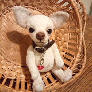 Mini Teddy chihuahua 6 in Favorite pet to order on the photo Best gift for dog lovers image 9