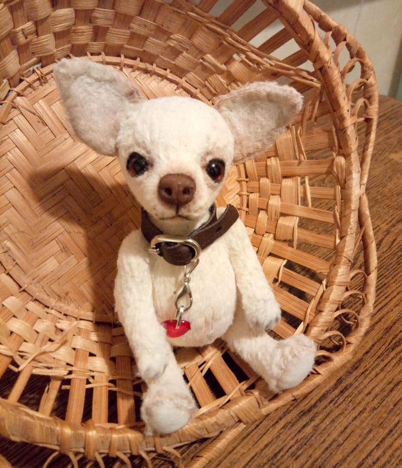 Mini Teddy chihuahua 6 in Favorite pet to order on the photo Best gift for dog lovers image 9