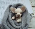 Miniature White Chihuahua Teddy: 6-inch Collectible Art Doll