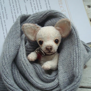 Mini Teddy chihuahua 6 in Favorite pet to order on the photo Best gift for dog lovers image 1