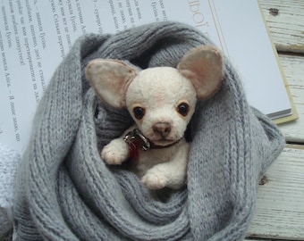 Mini Teddy chihuahua 6 in  Favorite pet to order on the photo Best gift for dog lovers