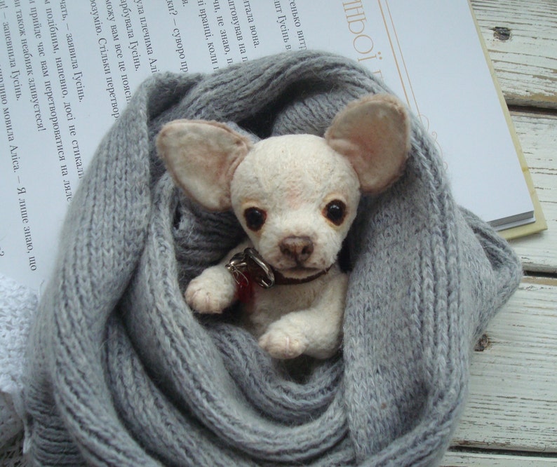 Mini Teddy chihuahua 6 in Favorite pet to order on the photo Best gift for dog lovers image 1