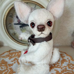 Mini Teddy chihuahua 6 in Favorite pet to order on the photo Best gift for dog lovers image 10