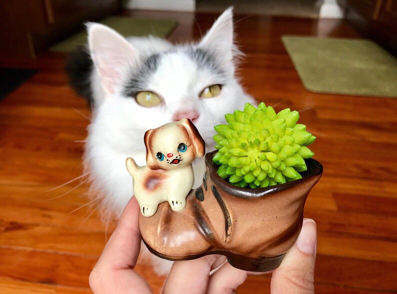 Puppy Dog on a Boot Vintage Ceramic Toothpick Holder Enesco Mini Succulent Planter