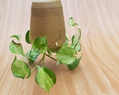 Stoneware Upside Down Hanging planter.