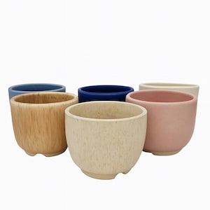 Pode incluir: Uma coleção de seis pequenos vasos redondos de cerâmica em várias cores. As cores incluem azul claro, bege, azul marinho, creme e rosa. Cada vaso tem uma superfície texturizada e uma base arredondada, ideal para pequenas plantas.