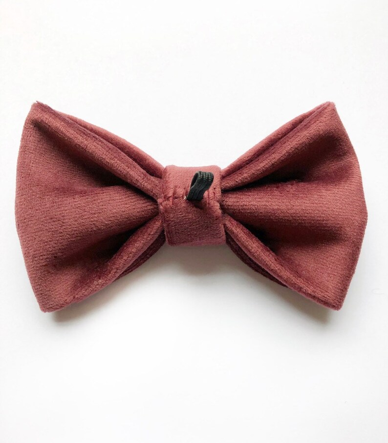 burgundy bow tie for dogs