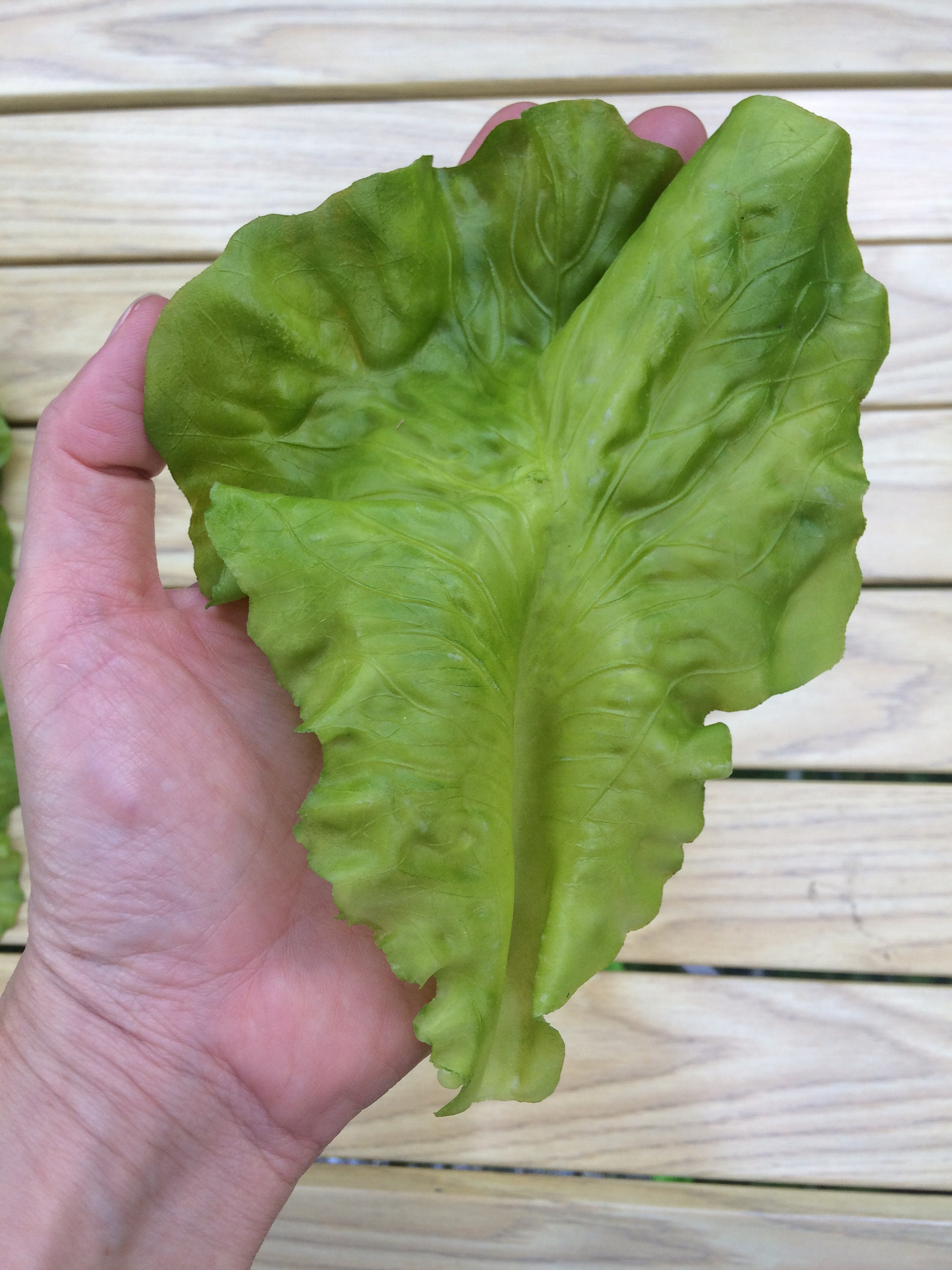 Pack of 6 Artificial Lettuce Leaves Fake Vegetable for Display Etsy