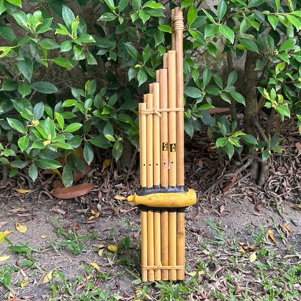 Thai Bamboo Khaen Isan Orgue à bouche Instrument de musique pour enfant, débutant