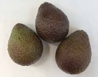 3 Stück gefälschte Avocado künstliche Früchte für Display Prop