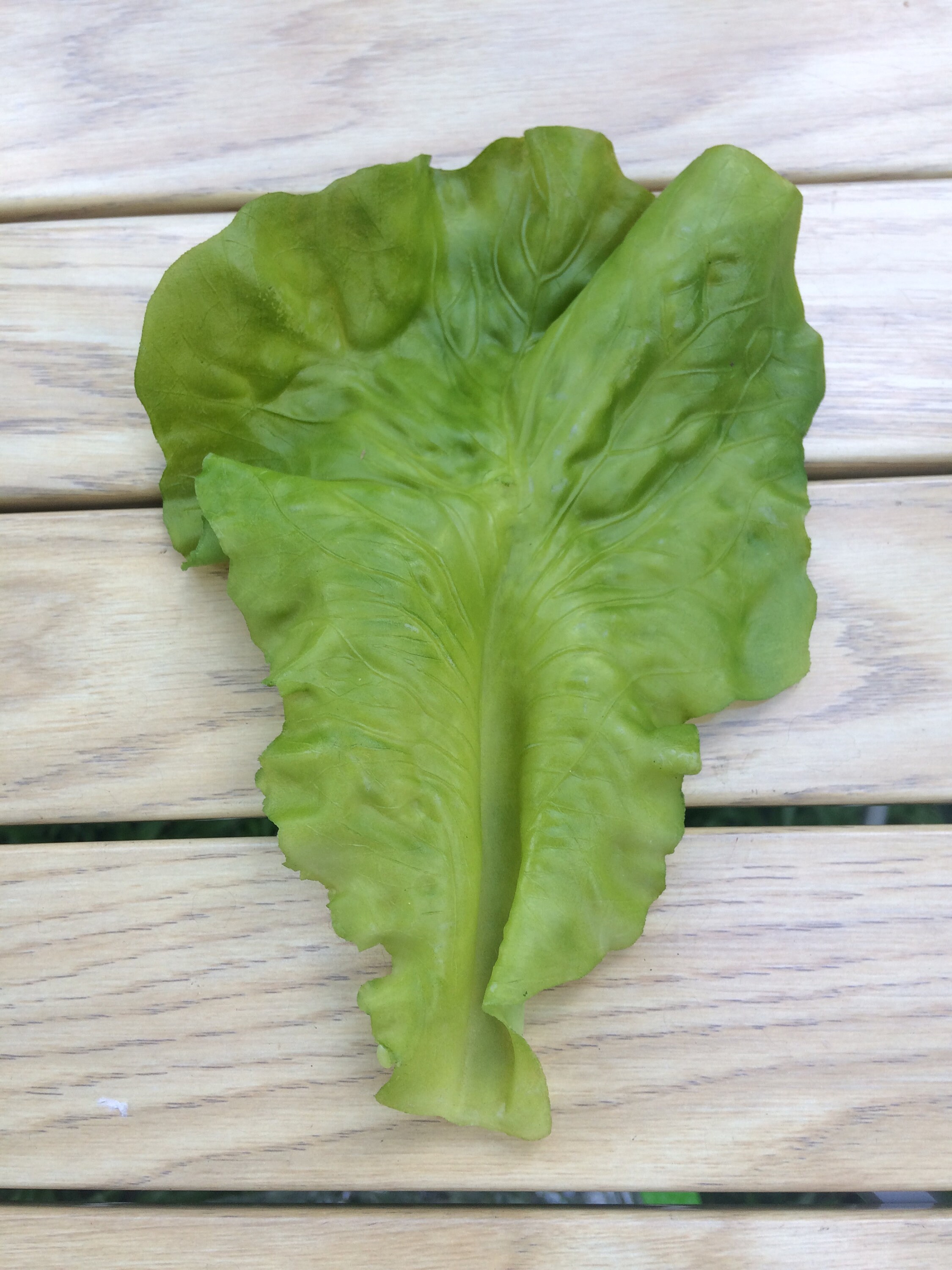 Pack of 6 Artificial Lettuce Leaves Fake Vegetable for Display Etsy