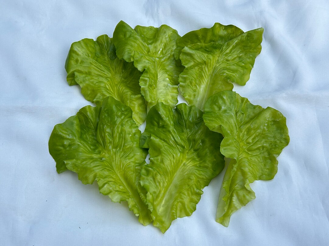 Pack of 6 Artificial Lettuce Leaves Fake Vegetable for Display or Decoration Etsy