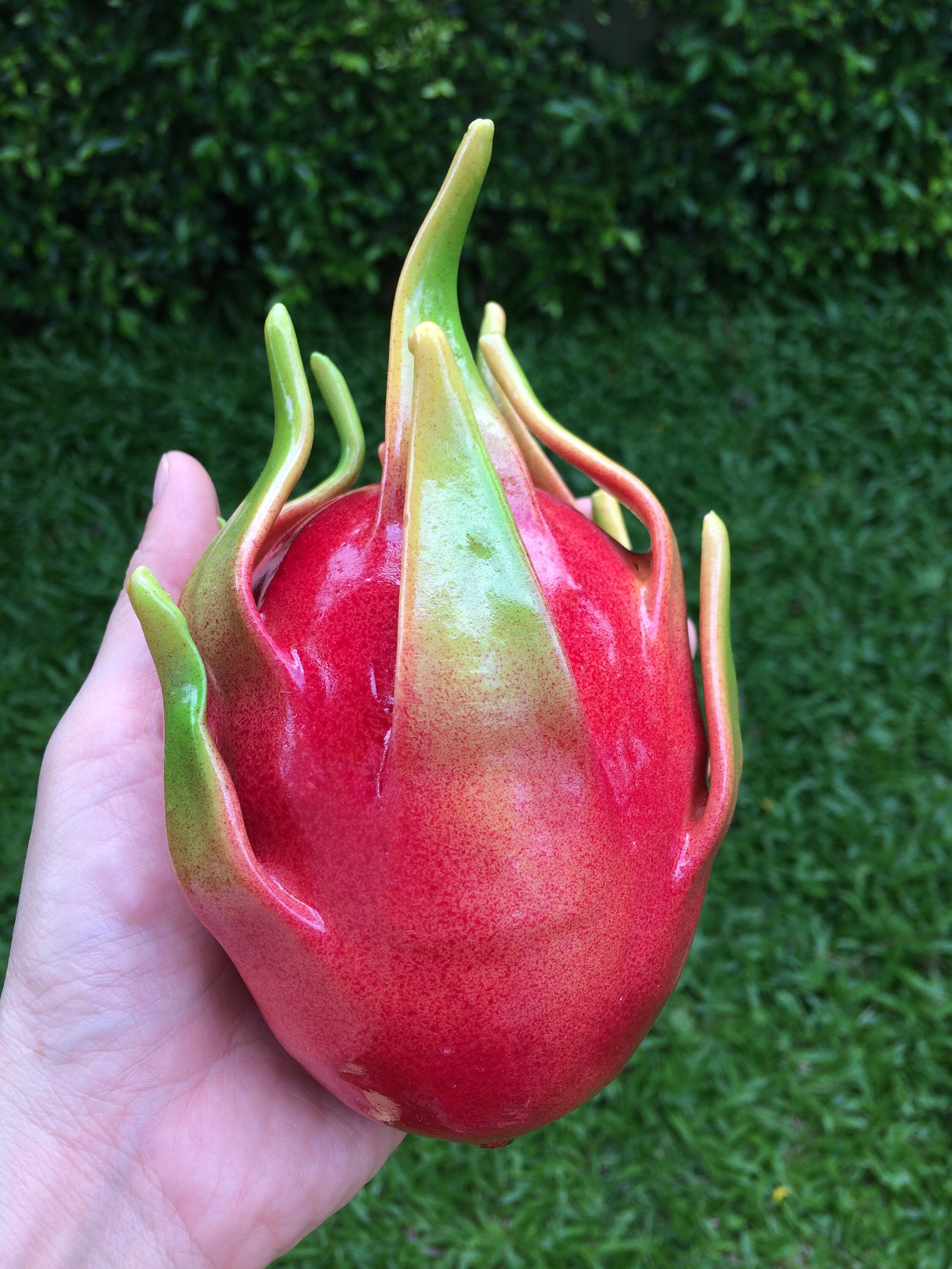 Artificial Dragon Fruit Faux Dragon Fruit Fake Dragon Fruit Etsy