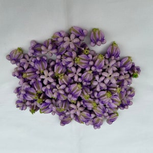 100 PCS Big Size Purple Clay Calotropis Crown Flower for Jewelry Making, Lei Garland, DIY, Craft Supplies