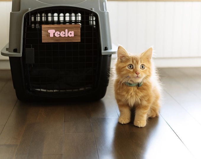 Personalized Pet Crate Sign